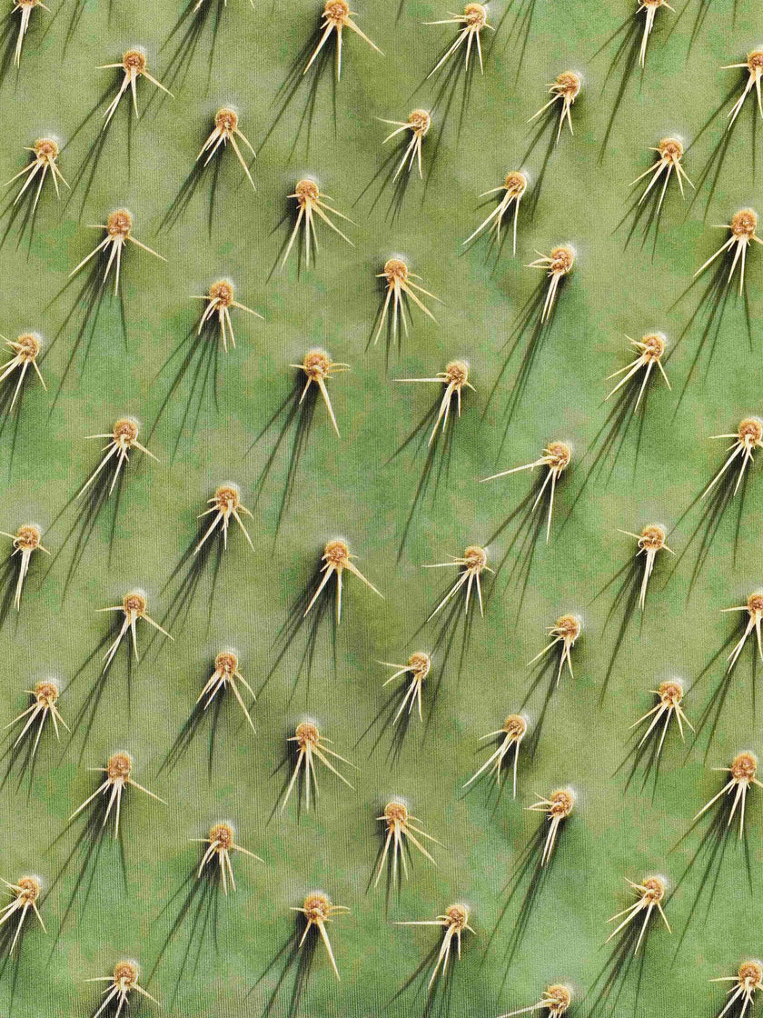 Gemütliche Kaktus-Shorts für Damen