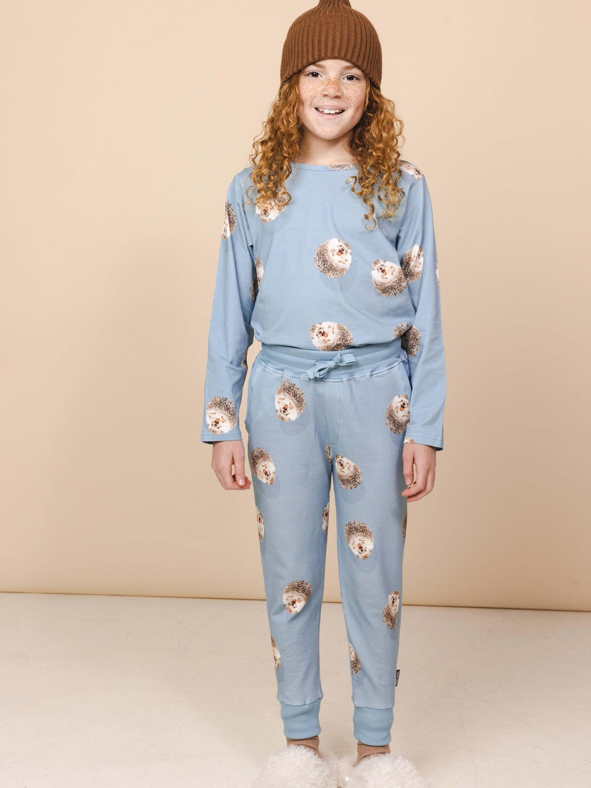 Hedgy Blue Sweater and Pants set Kids