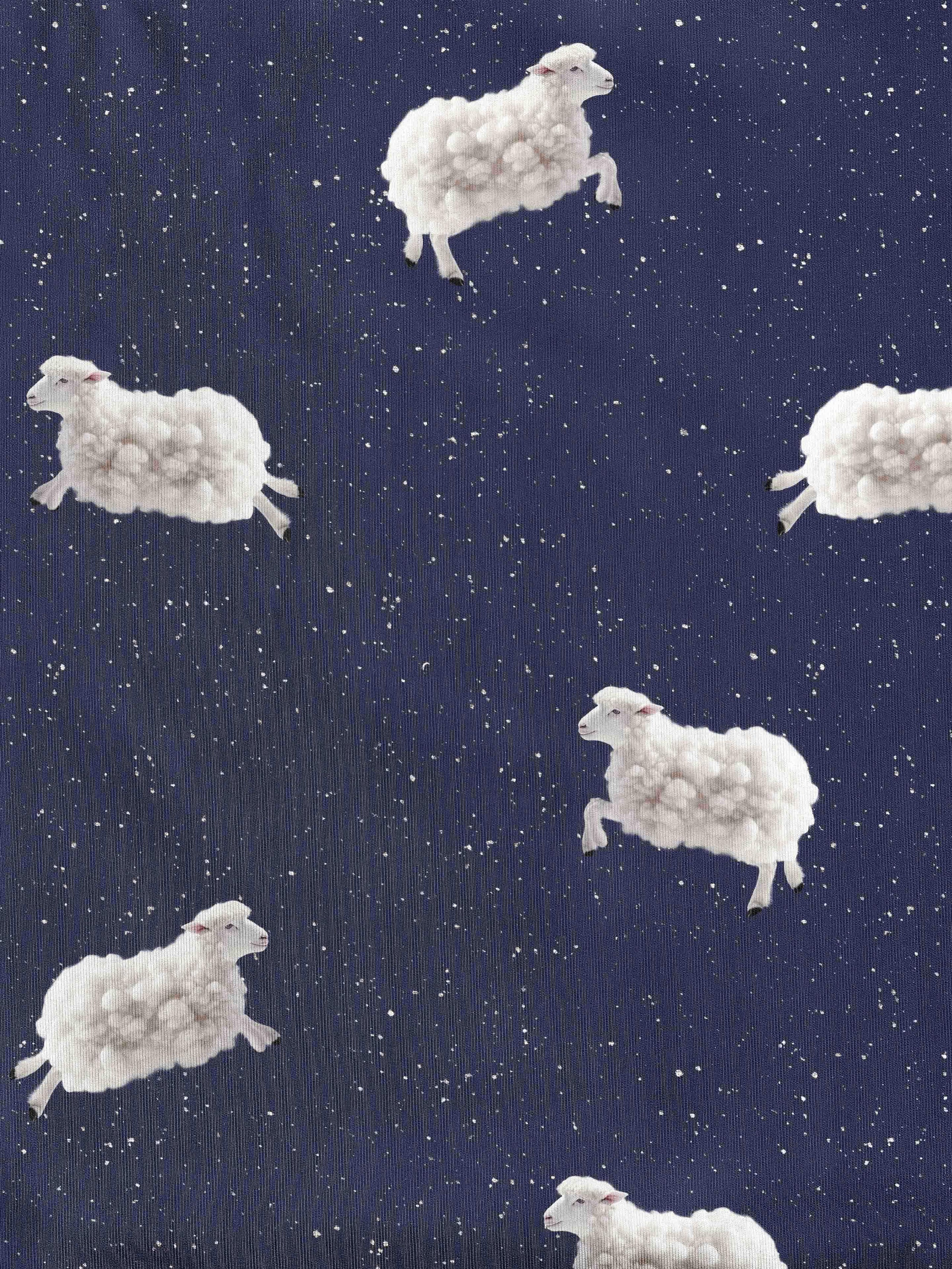 Counting Sheep