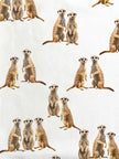 Meerkats