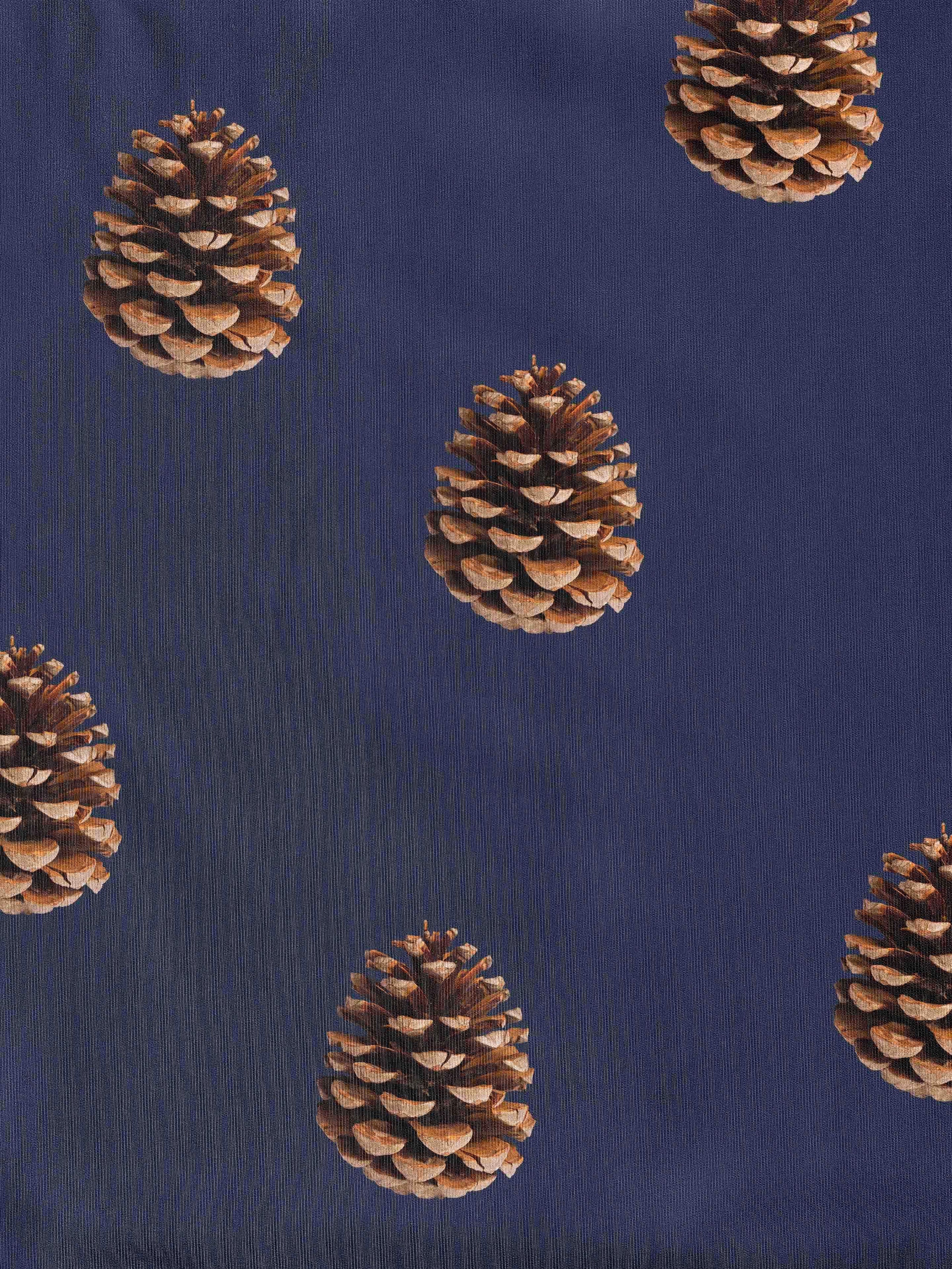 Pinecones