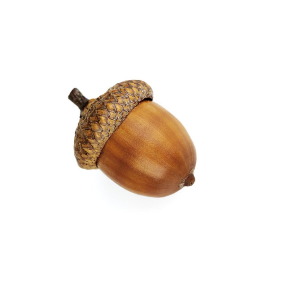 Winternuts