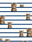 Bonjour Kitty