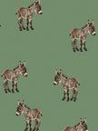 Donkeys