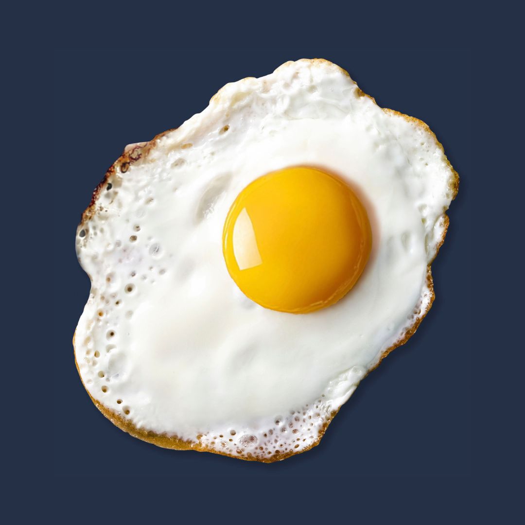 Eggs Navy Collection