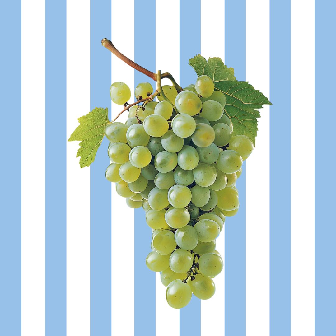 Grapes Collection