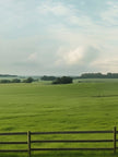 Meadow