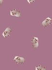 Oink Oink