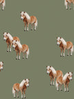 Pony Parade