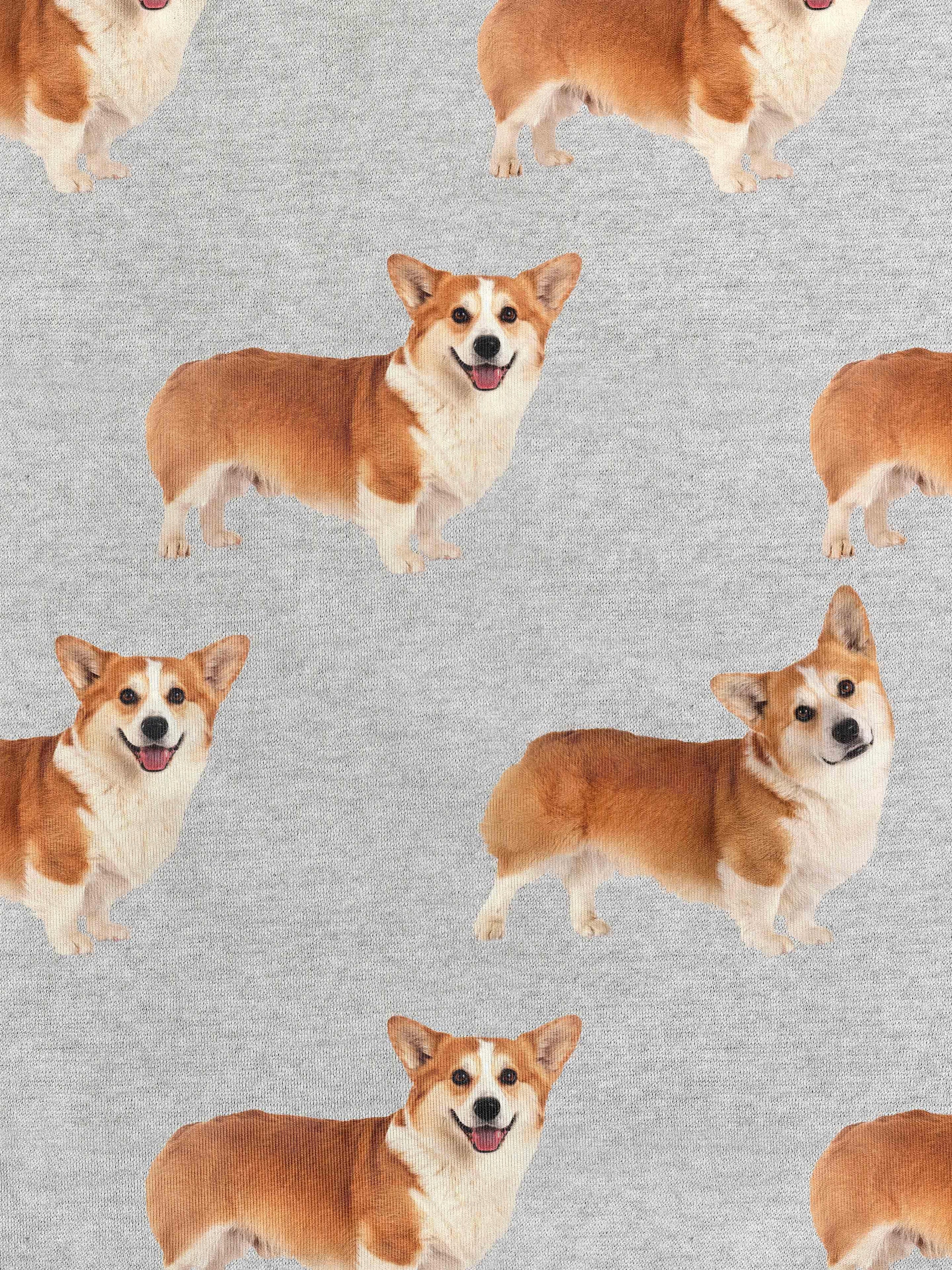 Corgi Time