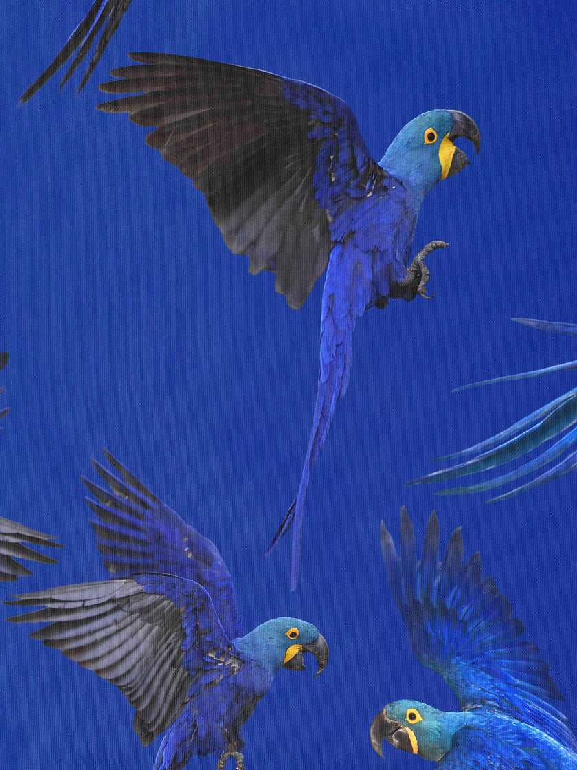 Blue Parrot T-shirt dress Kids