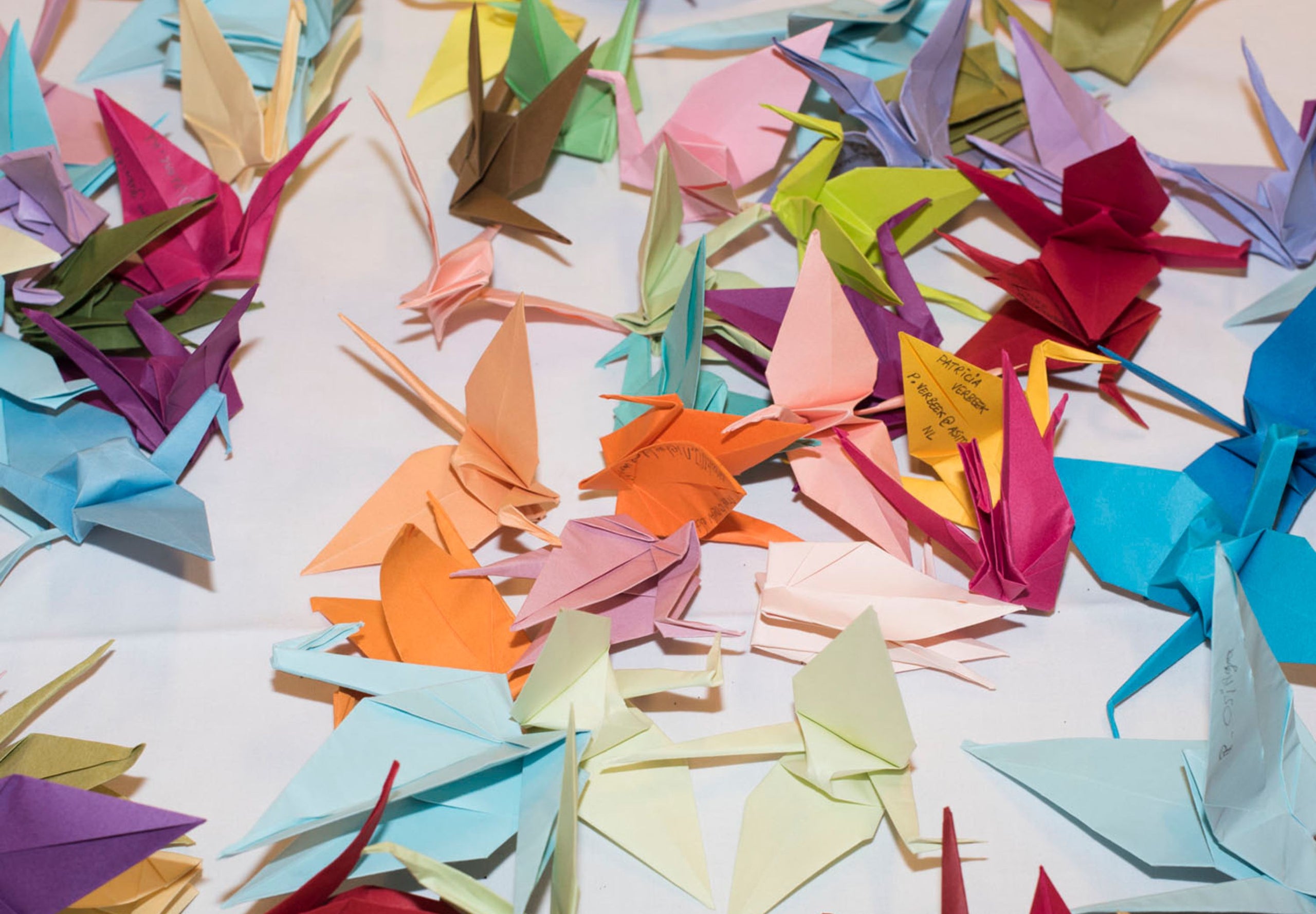 Image 67042260418940