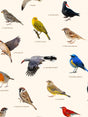 Birdwatching Print - SNURK