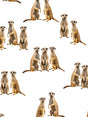 Meerkats Print - SNURK