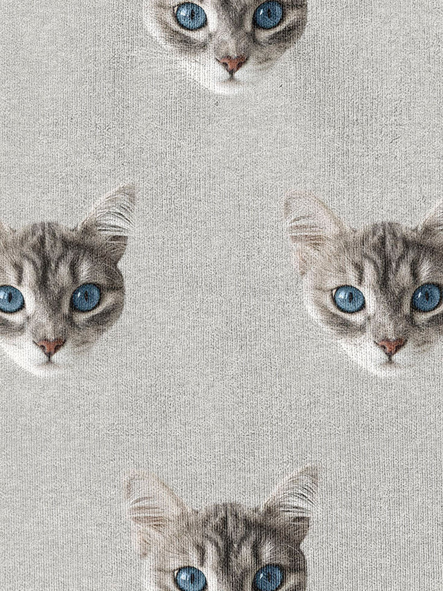 Ollie Cat