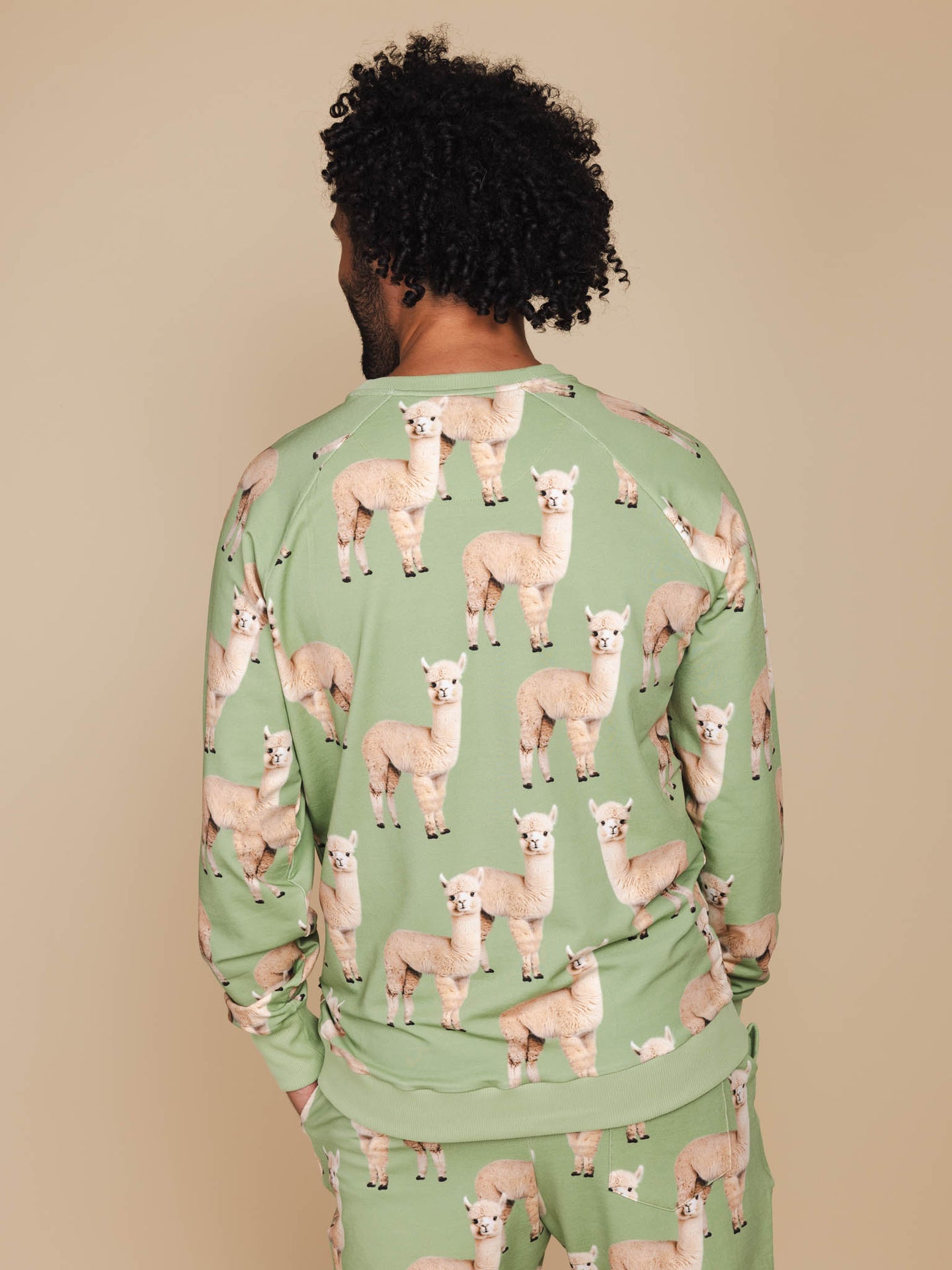 Alpaca Meadow Sweater Heren - SNURK