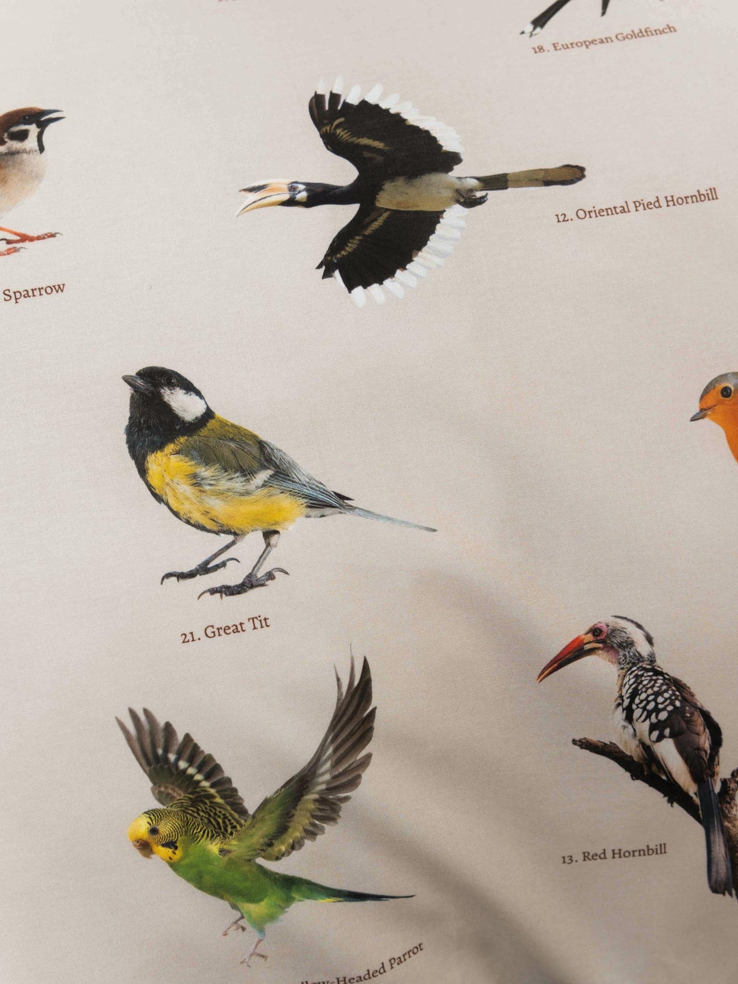 Bird Watching Shopper