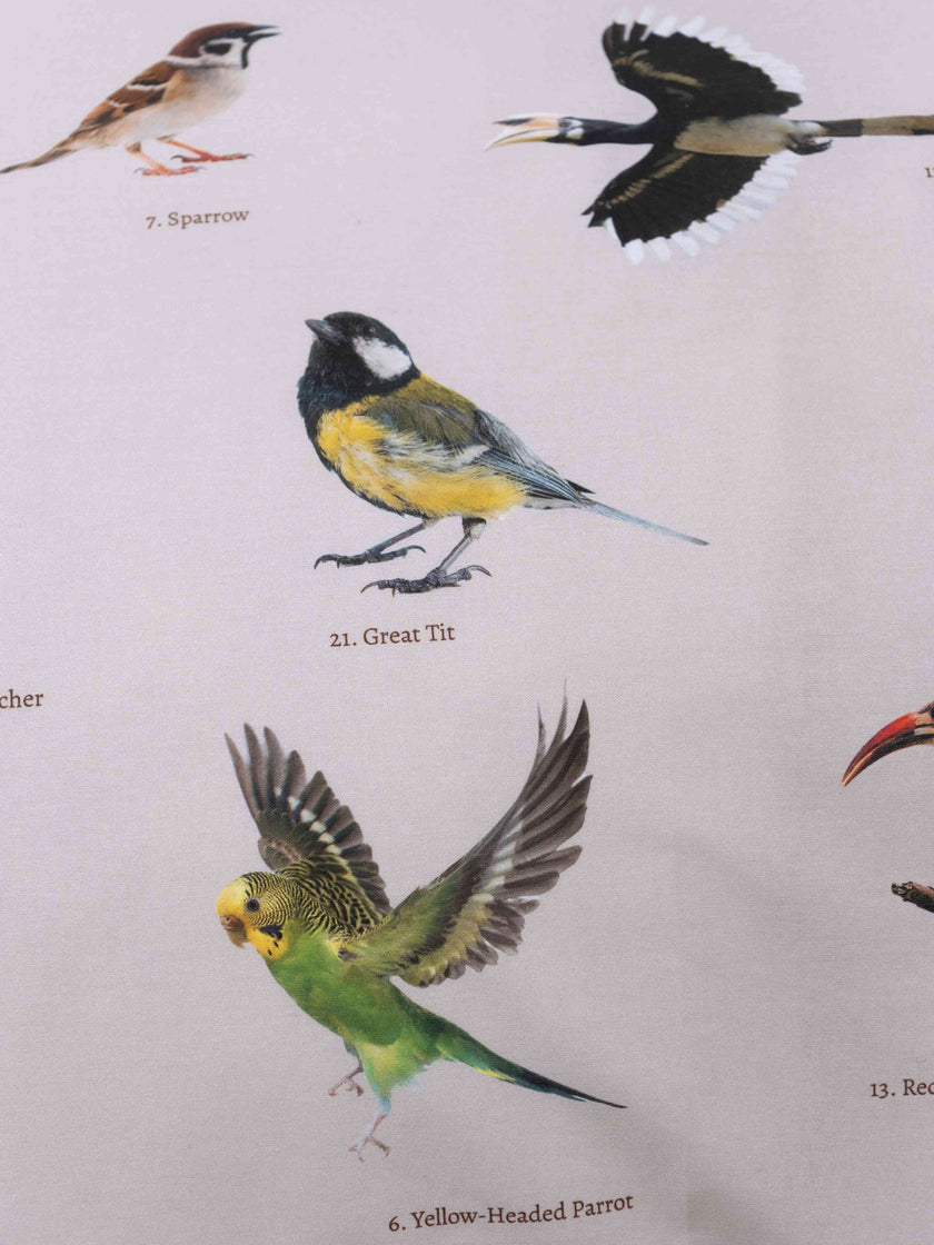 Bird Watching duvet cover set