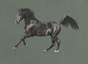 Black Horses Green