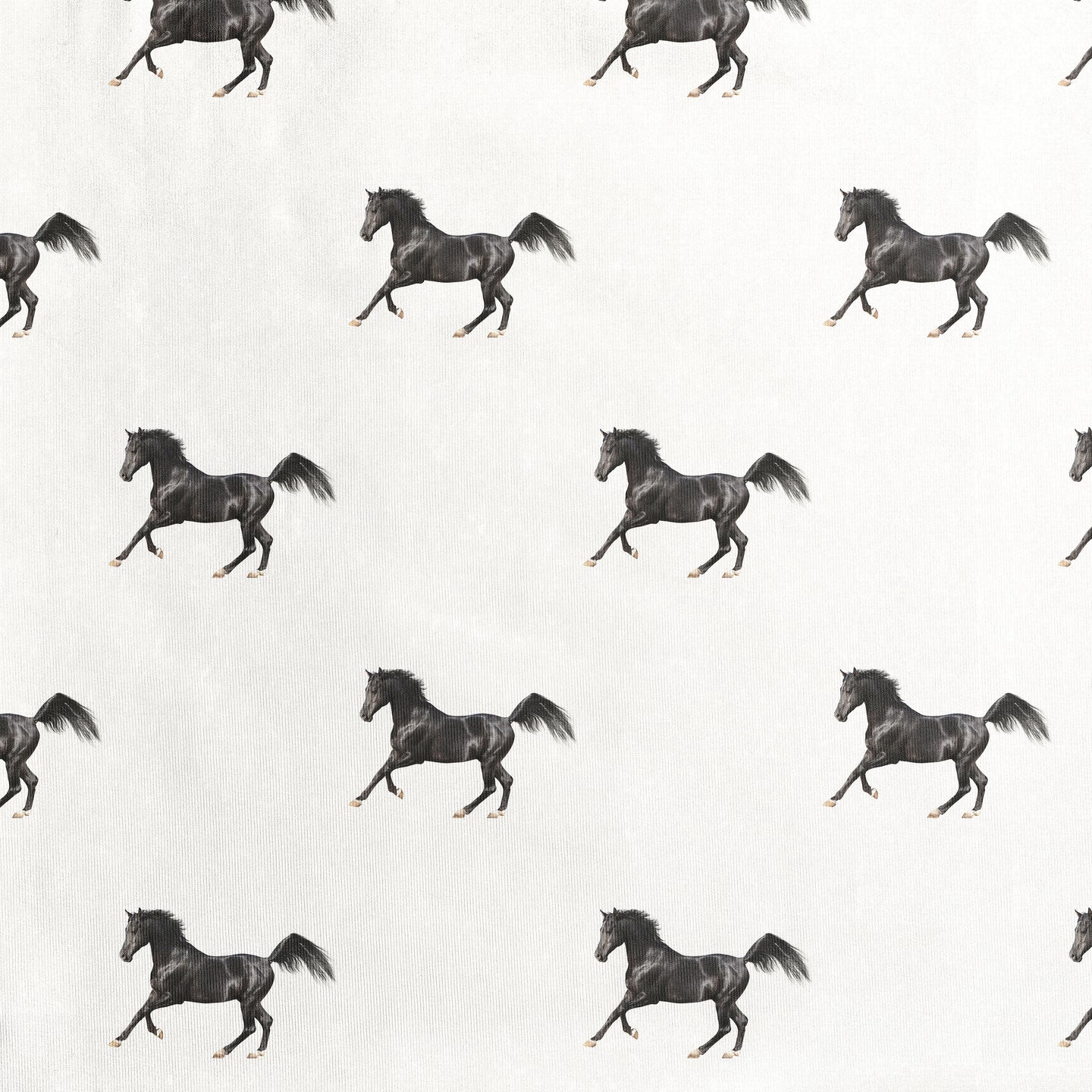 Black Horses