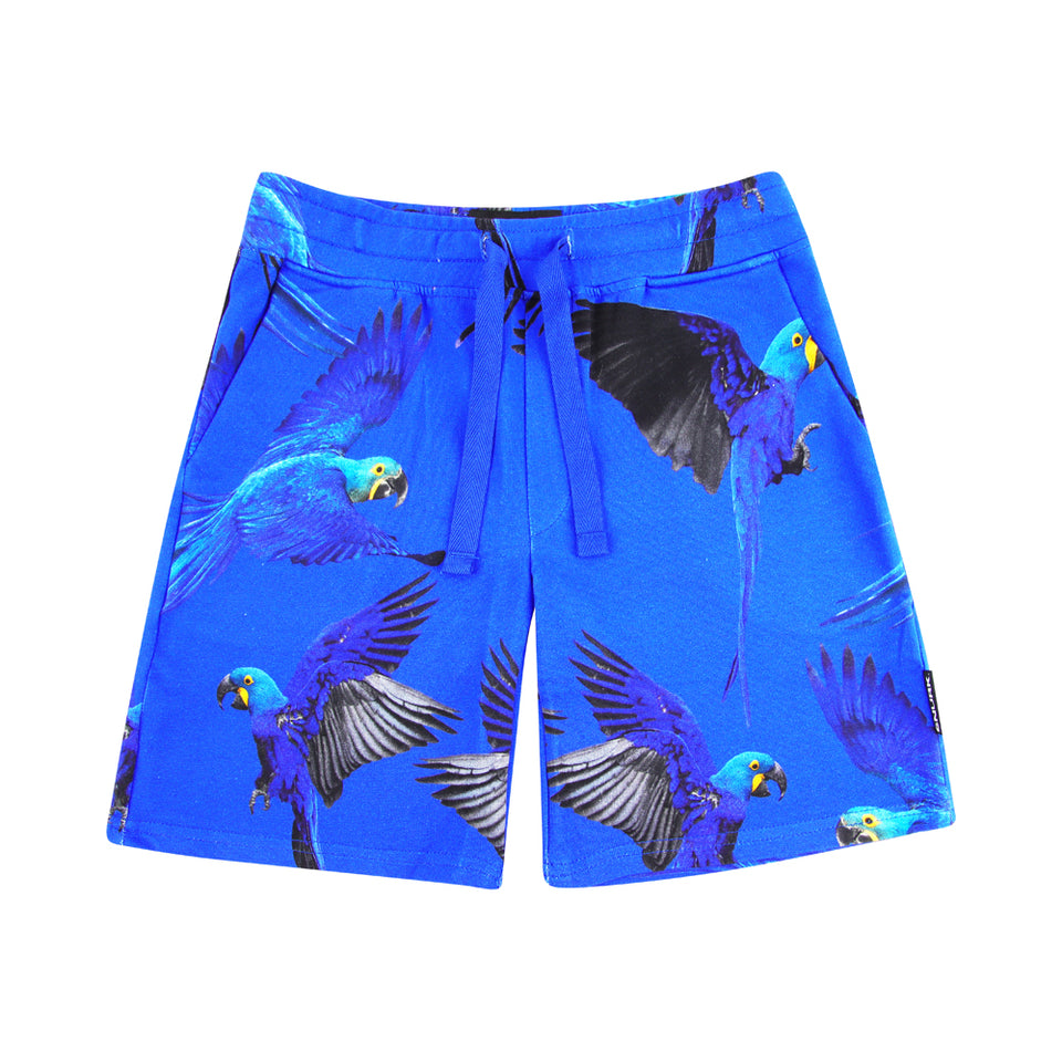 Blue Parrot Shorts Kids