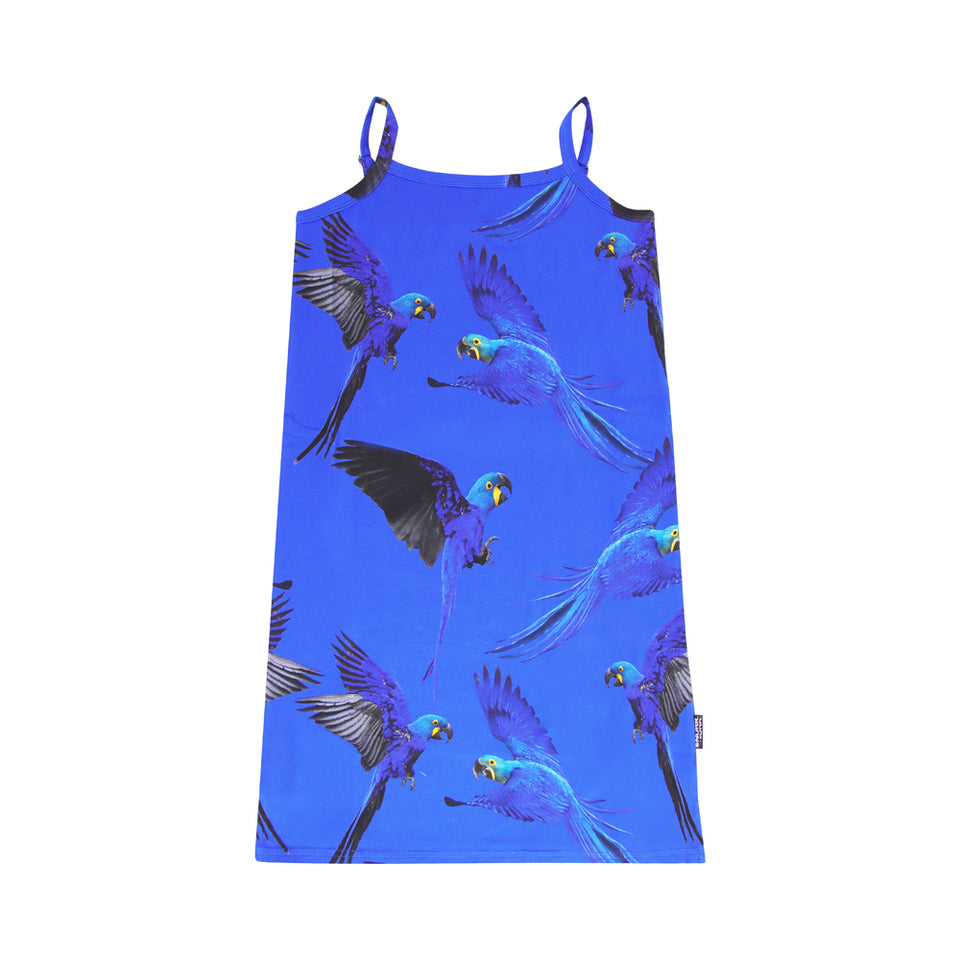 Blue Parrot Slip dress Kids