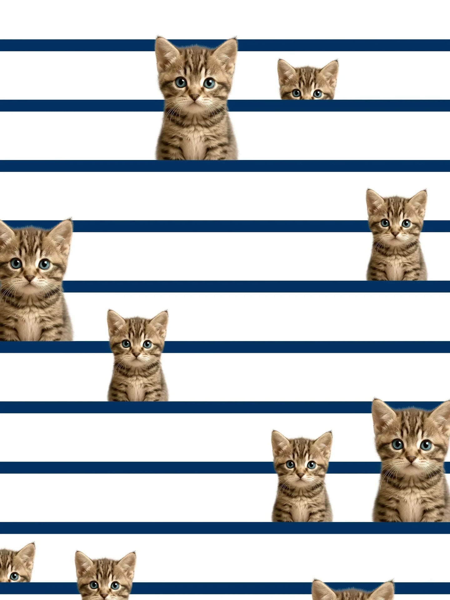 Bonjour Kitty Print