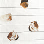 Cavia