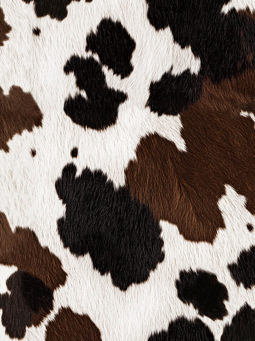 Cow T-shirt en Shorts set Kids