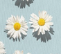 Daisy Dawn