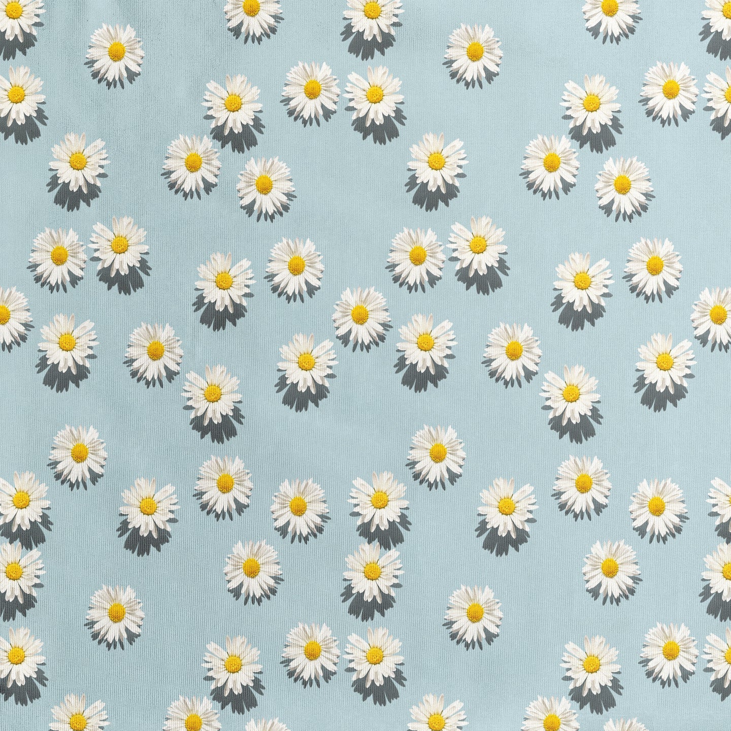 Daisy Dawn