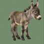 Donkeys Print - SNURK