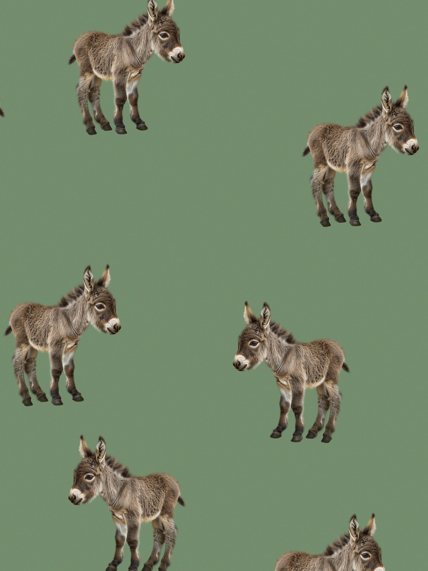 Donkeys Broek Kids - SNURK
