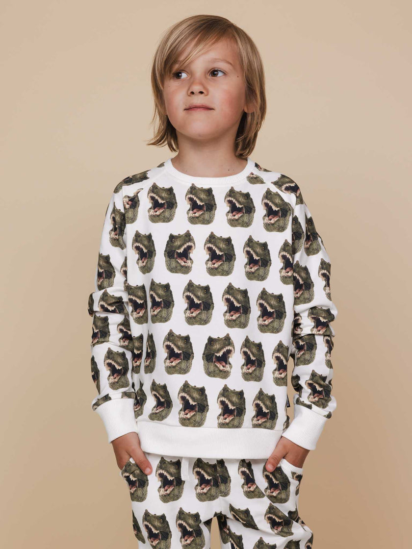 Dino sweater for kids