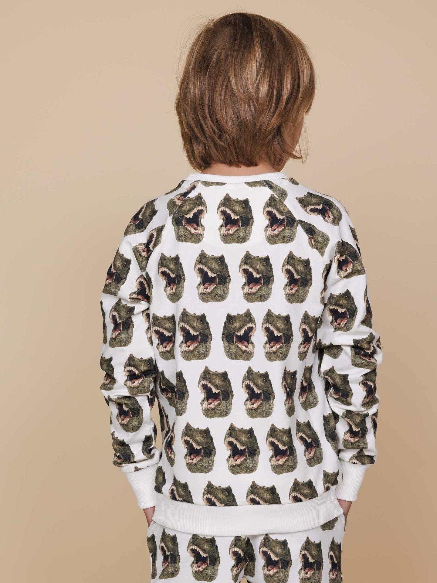 Dino sweater for kids