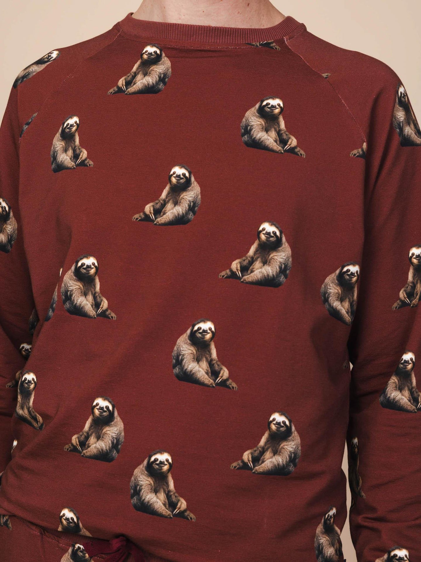 Sloth Sweater Herren