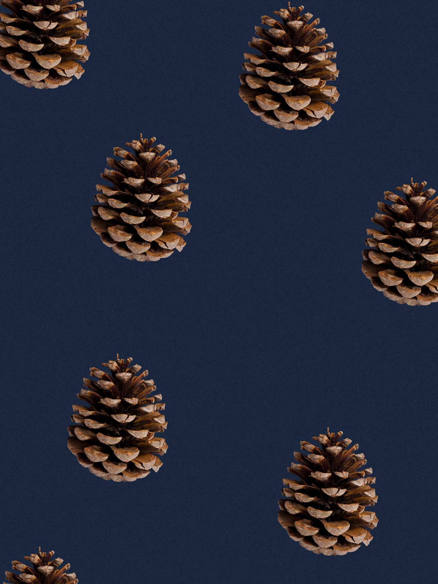 Pinecones Print- SNURK