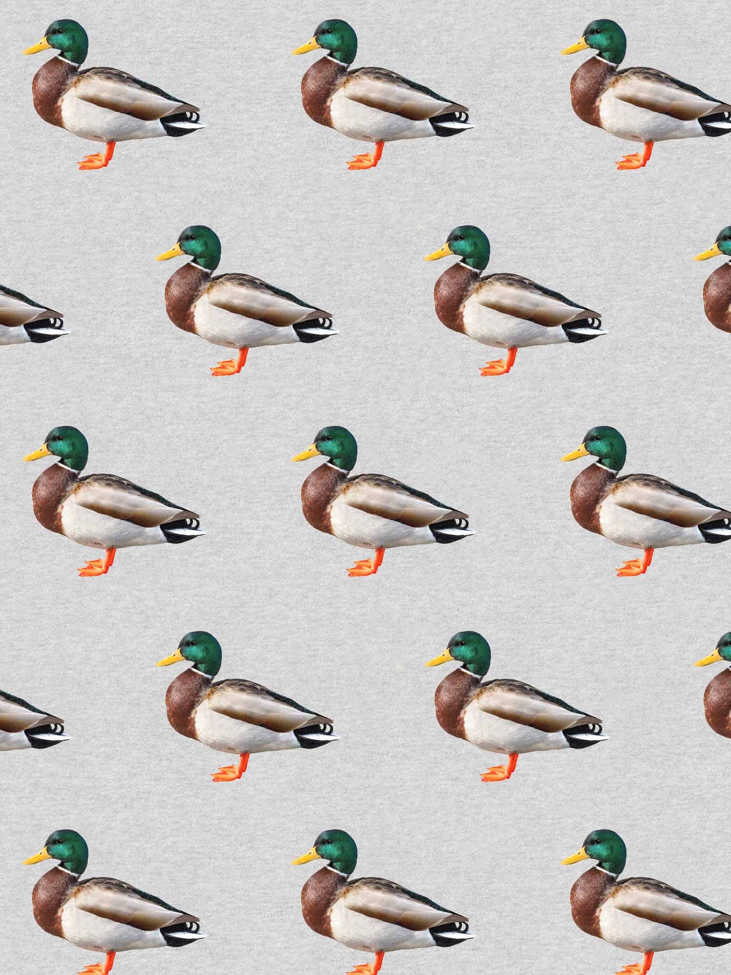 Quack! Print - ducks on a grey background - SNURK