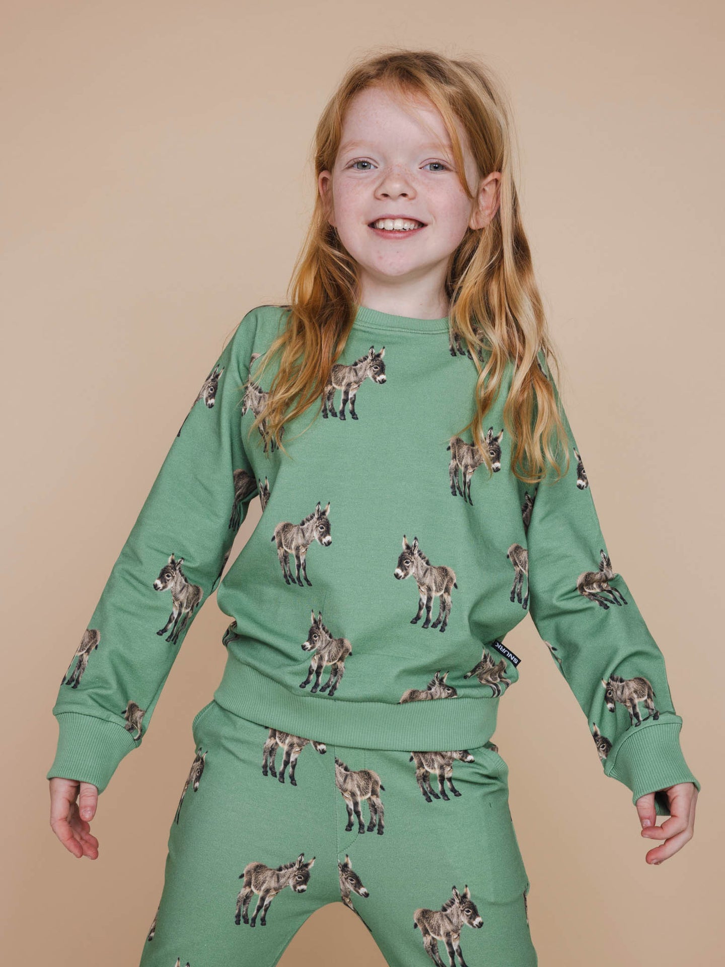 Donkeys Sweater Kids - SNURK
