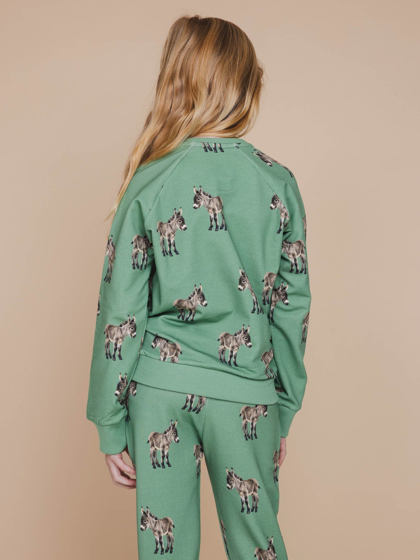 Donkeys Sweater Kids - SNURK