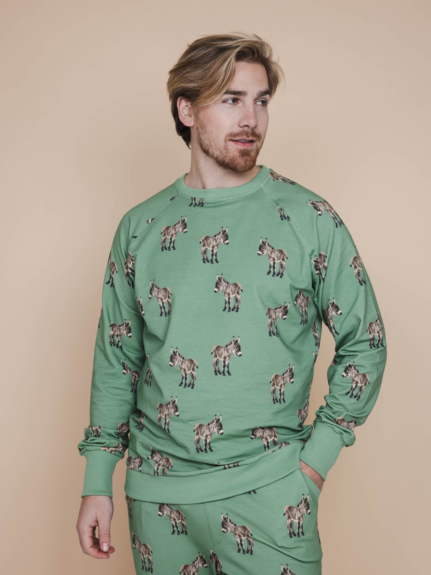 Donkeys Sweater Heren - SNURK