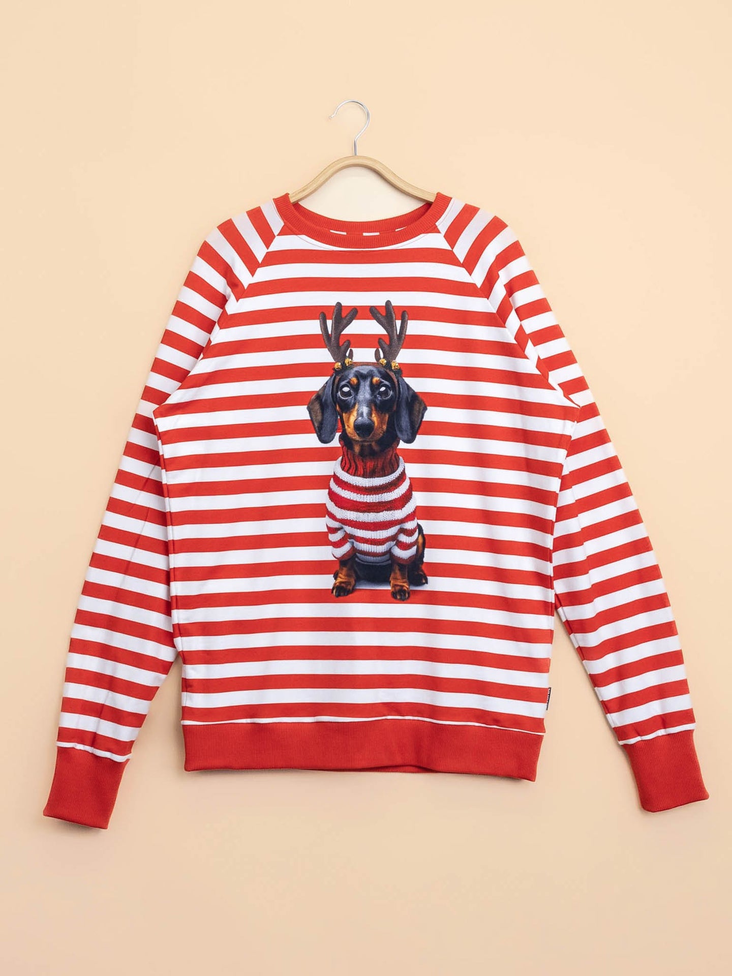 Pierre Xmas Sweater Heren - SNURK