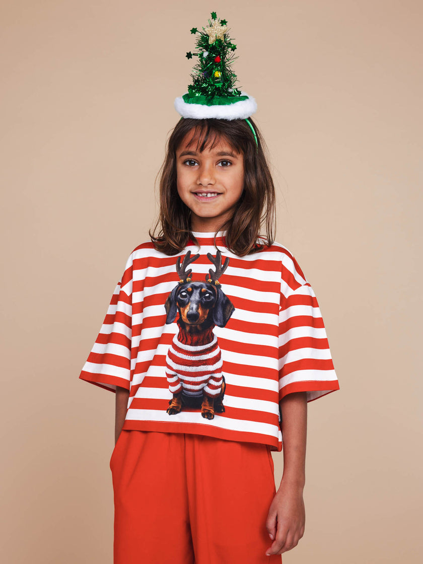 Pierre Xmas Cropped T-Shirt Kids