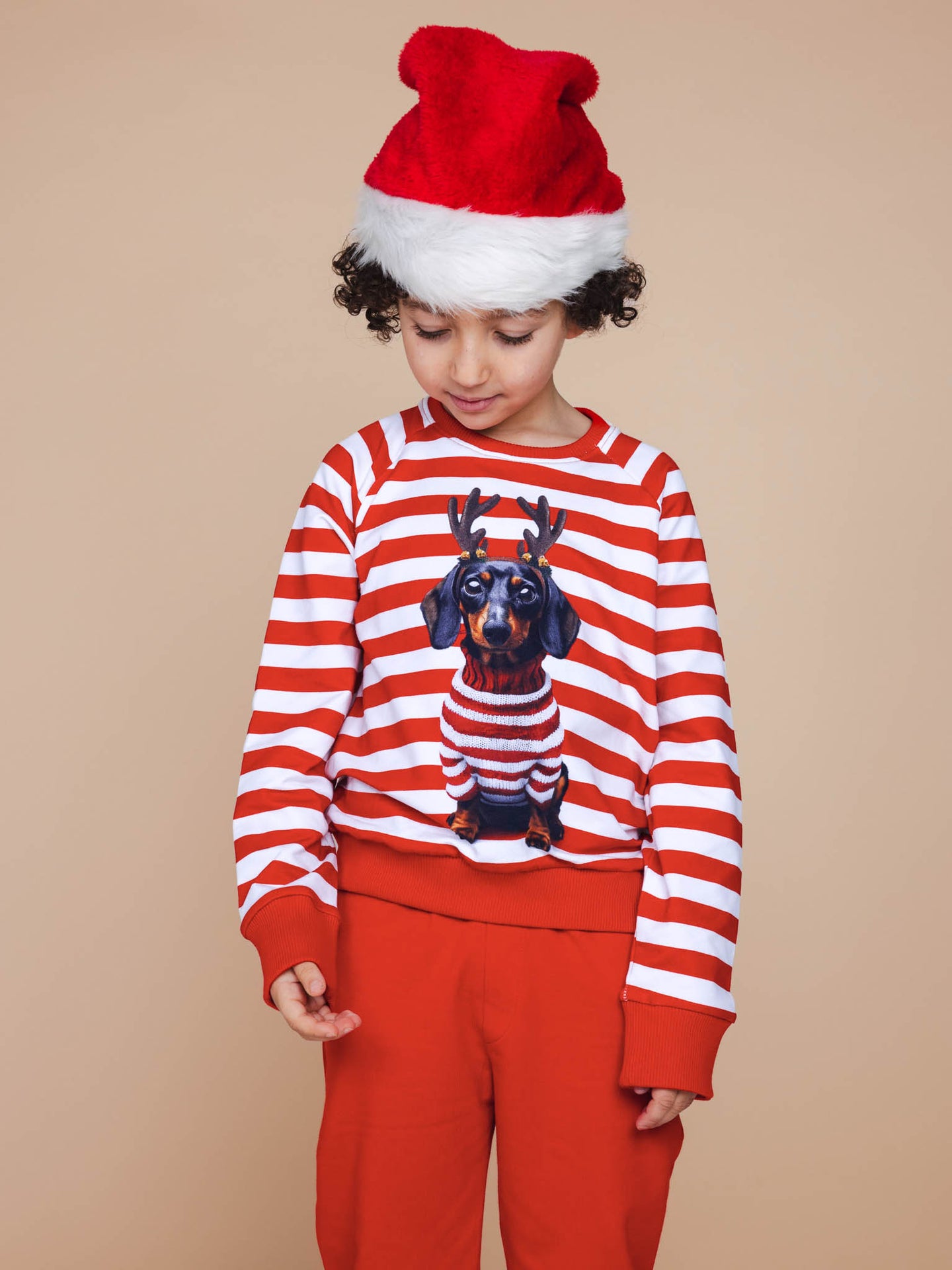 Pierre Xmas Sweater Kids - SNURK