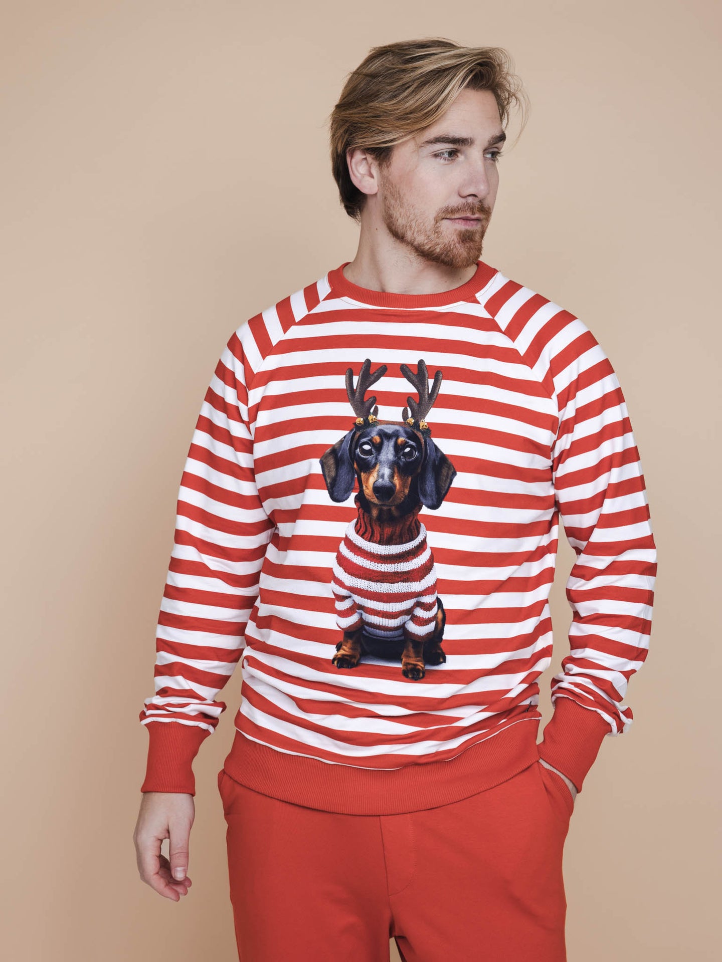 Pierre Xmas Sweater Heren - SNURK