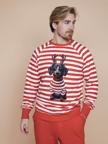 Pierre Xmas Sweater Herren
