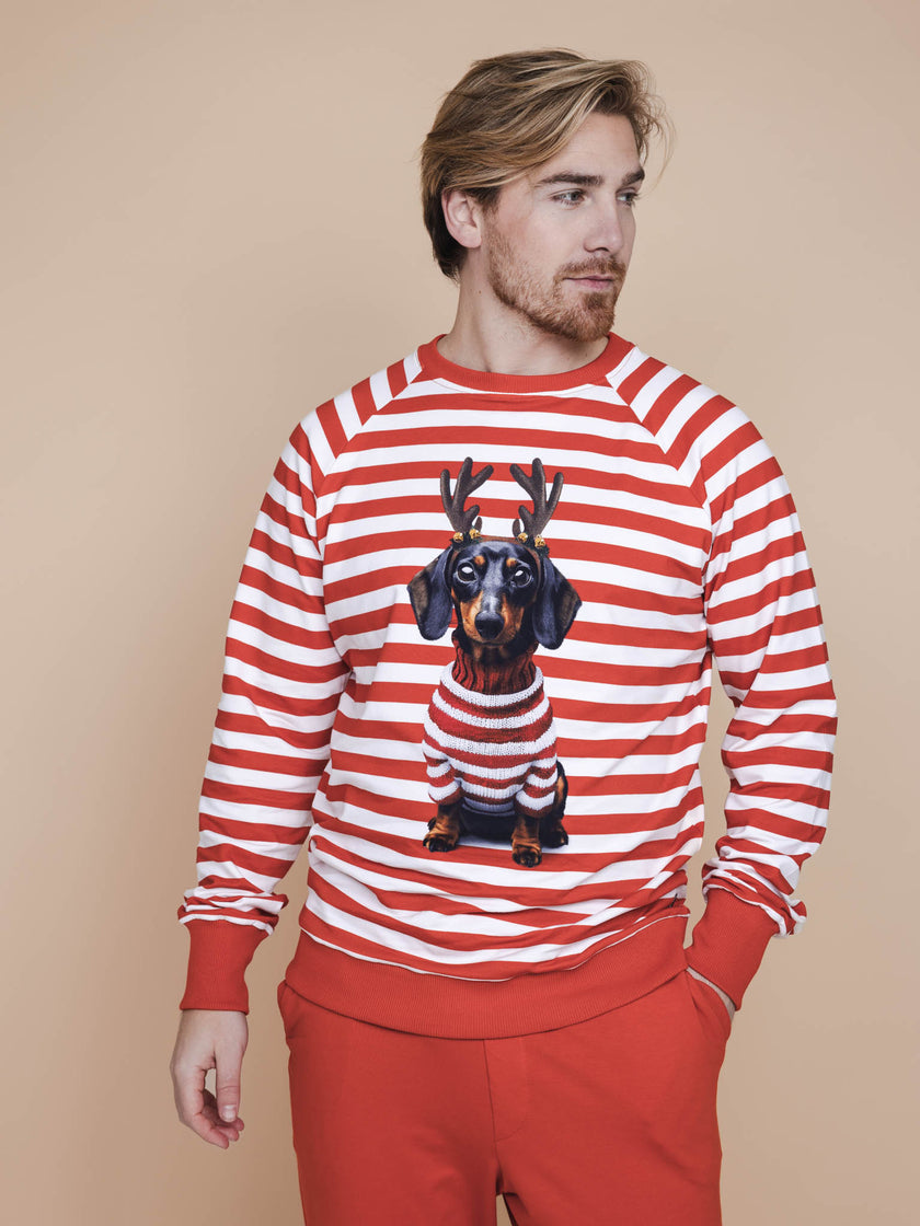 Pierre Xmas Sweater Heren