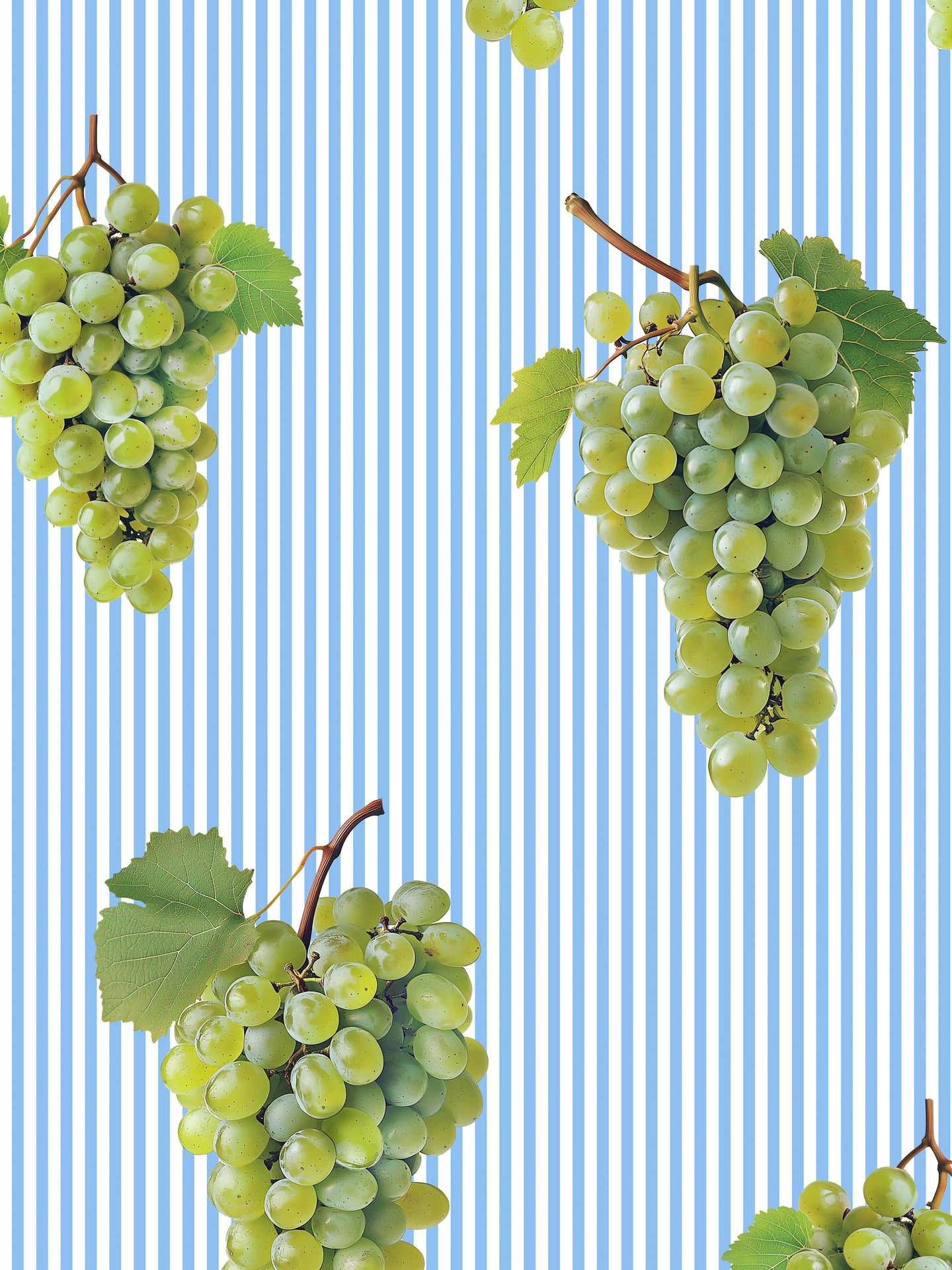 Grapes Print - SNURK