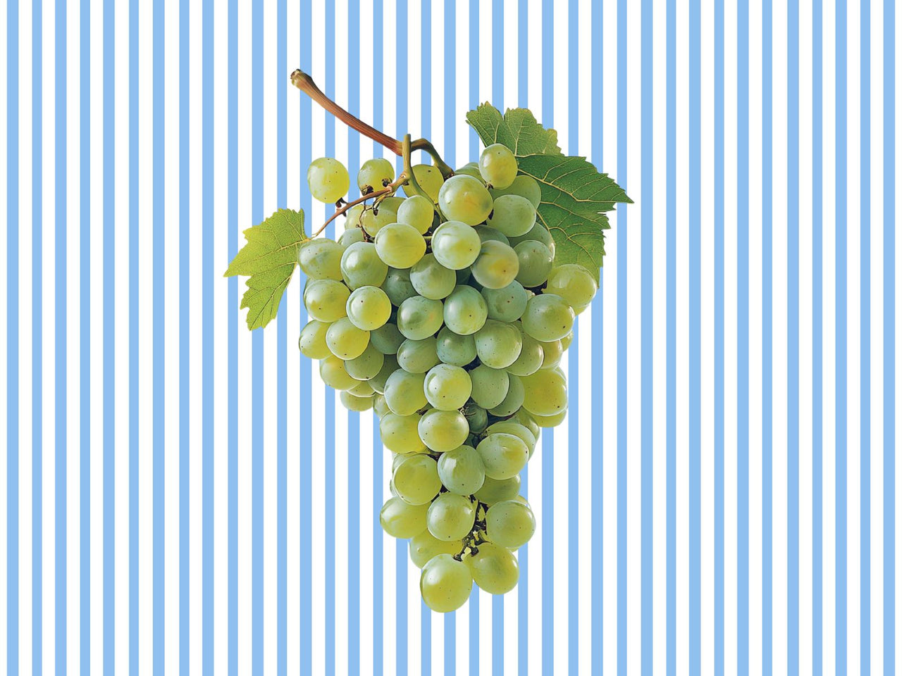 Image 66990588789116