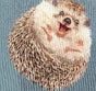 Hedgy Blue